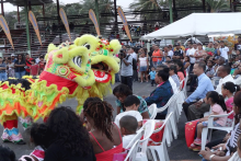 孔子学院参加圭亚那第三届春节庙会